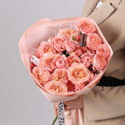 kustovaya roza pionovidnaya 3